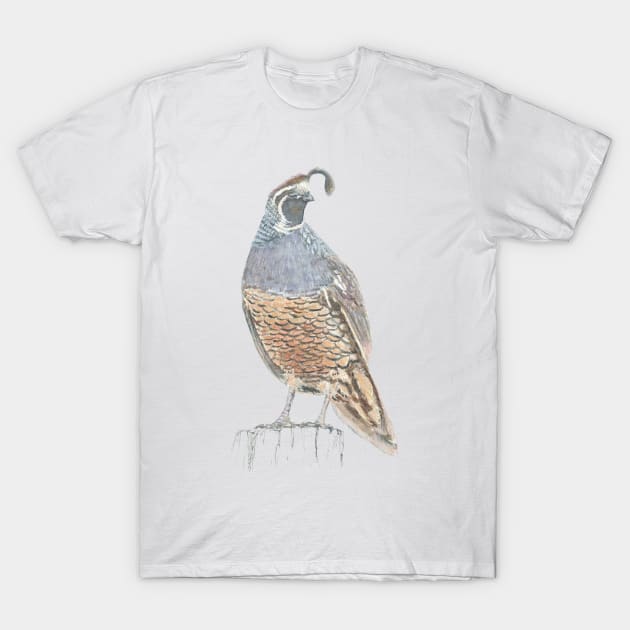 Quail T-Shirt by EmilieGeant